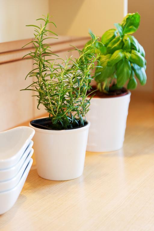 Apartament Sophie ソポト エクステリア 写真